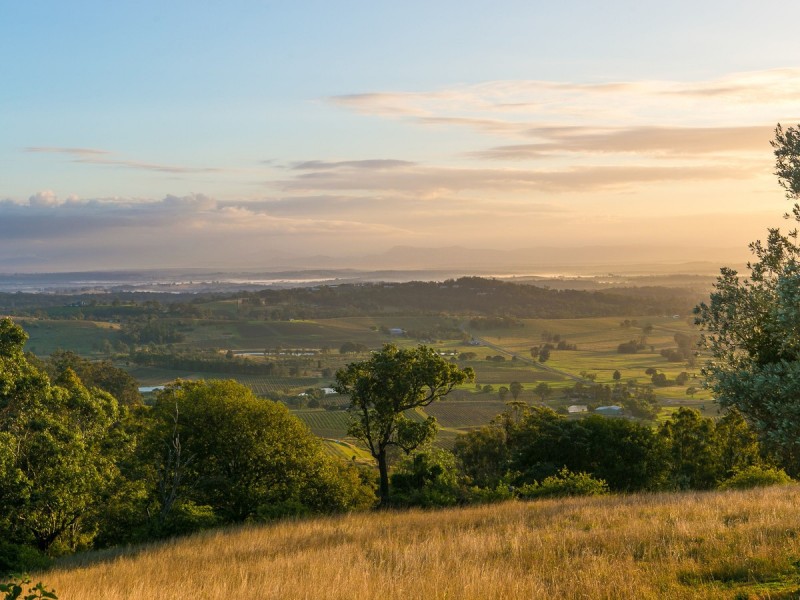 427 Pokolbin Mountains Road, Pokolbin NSW 2320