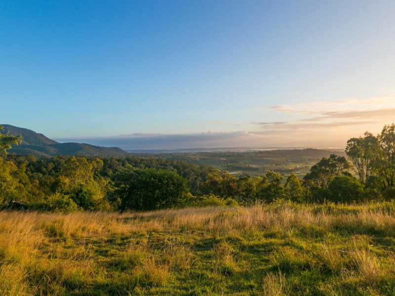 427 Pokolbin Mountains Road, Pokolbin NSW 2320