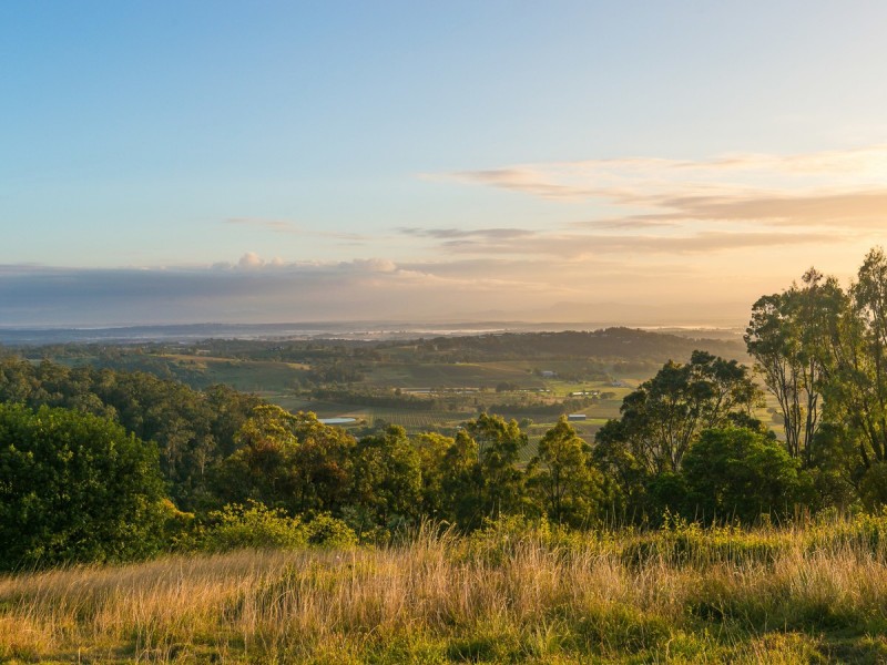 427 Pokolbin Mountains Road, Pokolbin NSW 2320