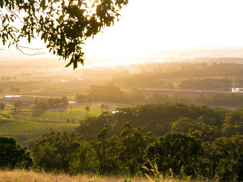 427 Pokolbin Mountains Road, Pokolbin NSW 2320