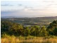 427 Pokolbin Mountains Road, Pokolbin NSW 2320