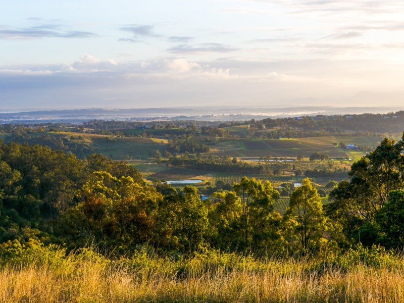 427 Pokolbin Mountains Road, Pokolbin NSW 2320