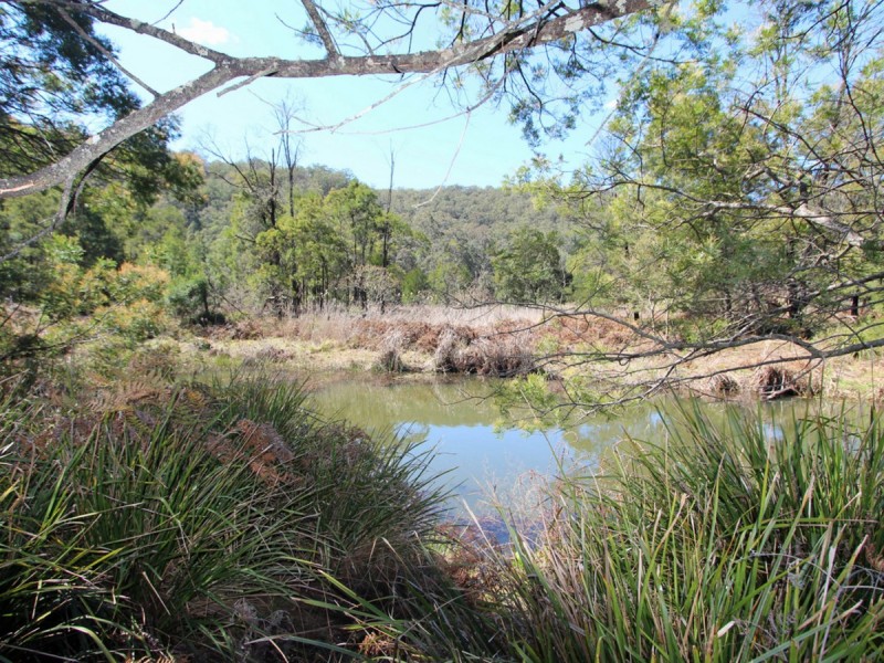 5549 George Downes Drive, Laguna NSW 2325