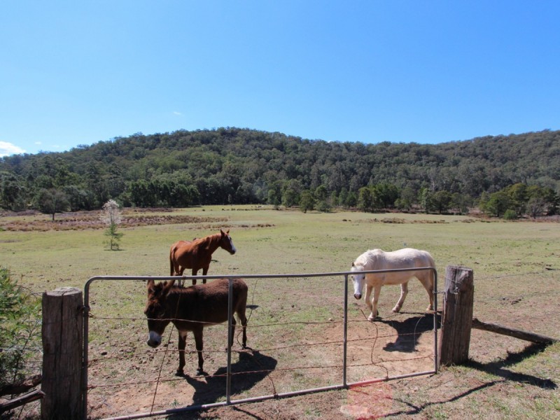 5549 George Downes Drive, Laguna NSW 2325