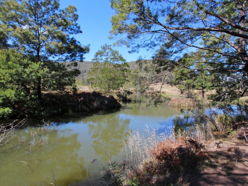 5549 George Downes Drive, Laguna NSW 2325