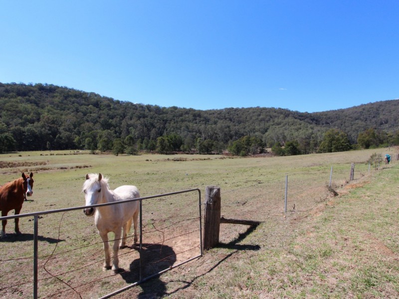 5549 George Downes Drive, Laguna NSW 2325