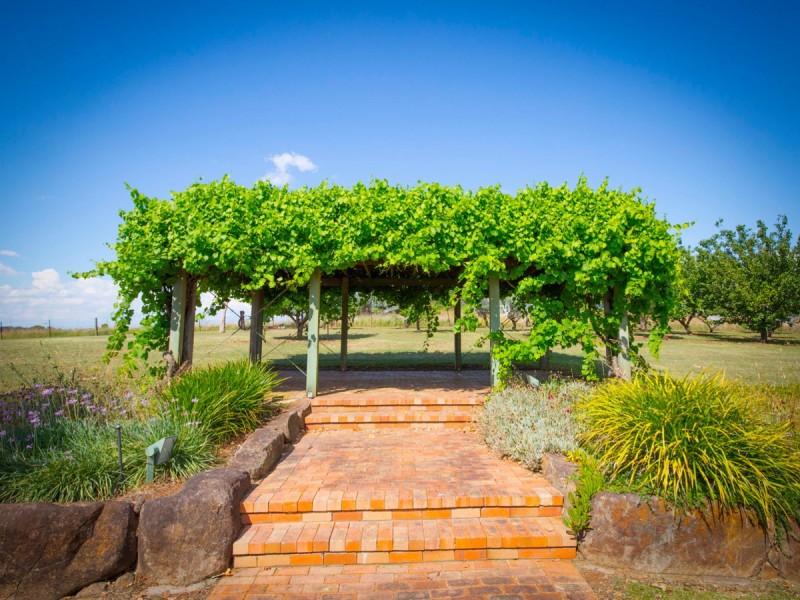 40 Rodd Street, Broke NSW 2330