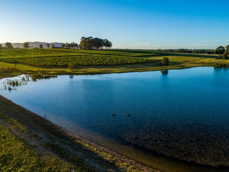 305 Wine Country Drive, Nulkaba NSW 2325