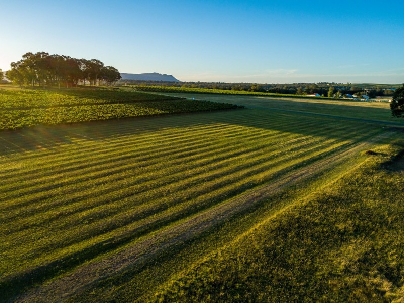 305 Wine Country Drive, Nulkaba NSW 2325