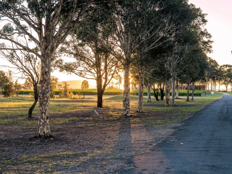 305 Wine Country Drive, Nulkaba NSW 2325