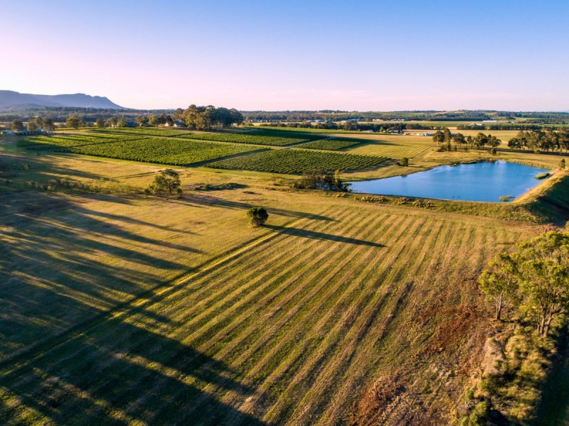 305 Wine Country Drive, Nulkaba NSW 2325