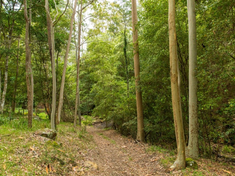 57 Emily Road, Mount Vincent NSW 2323