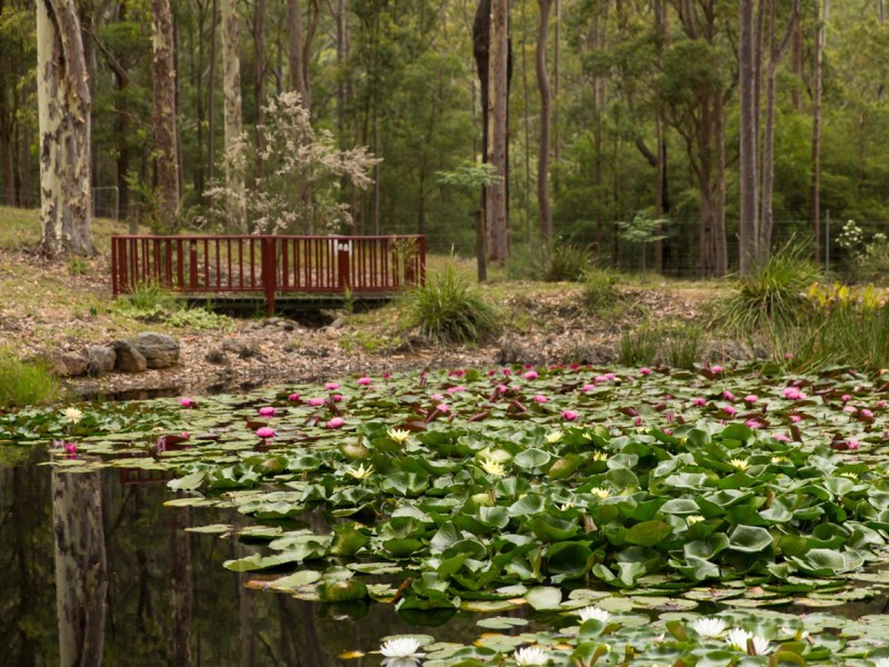 57 Emily Road, Mount Vincent NSW 2323