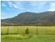 41 Gills Road, Brunkerville NSW 2323