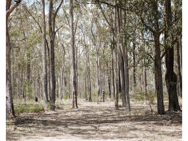 31-33 Ellalong Road, Pelton NSW 2325