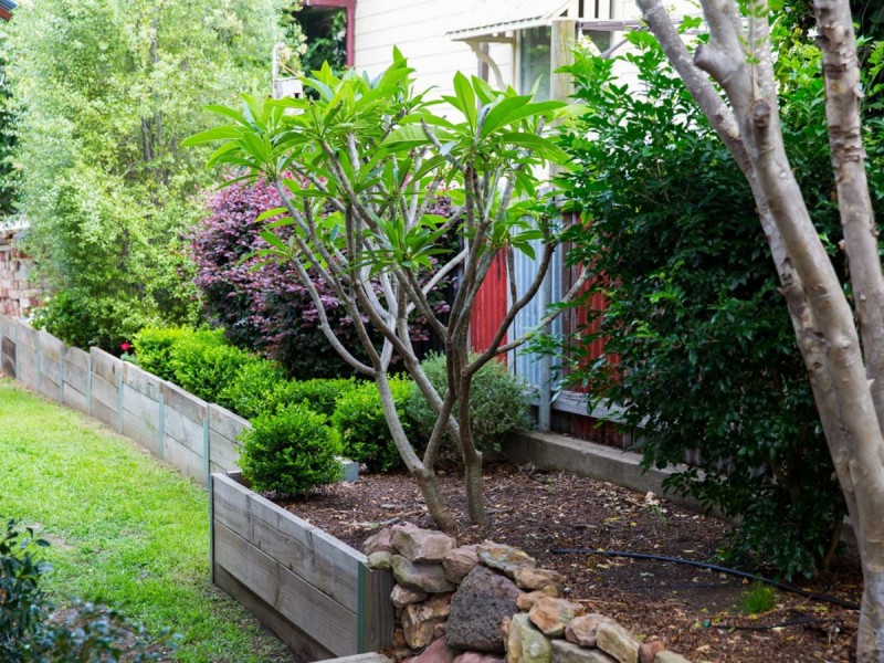 5 Mayfield Street, Cessnock NSW 2325