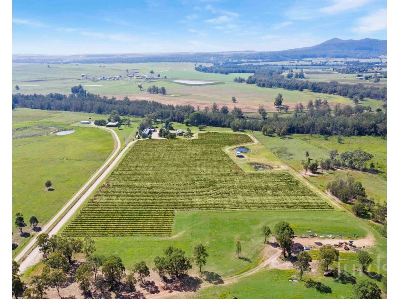 901 Milbrodale Road, Broke NSW 2330