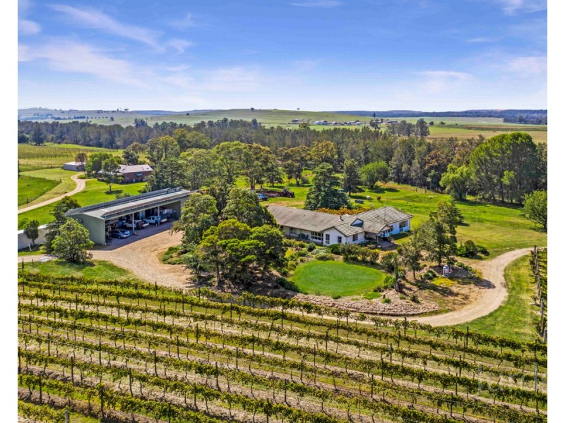 901 Milbrodale Road, Broke NSW 2330