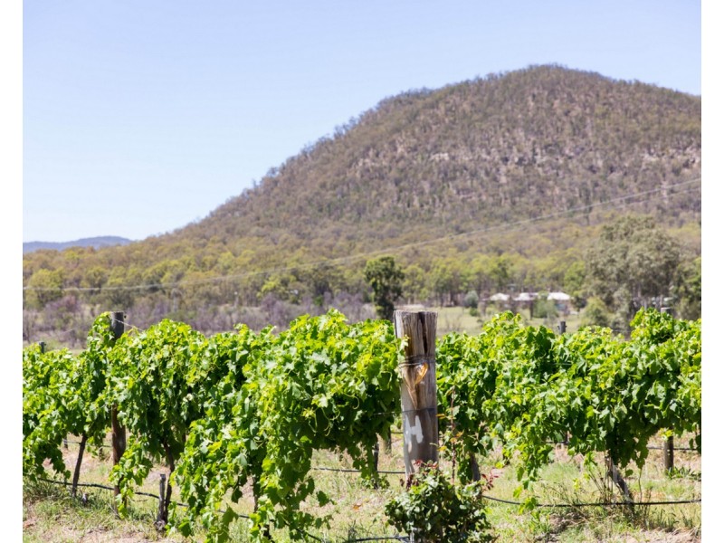 901 Milbrodale Road, Broke NSW 2330