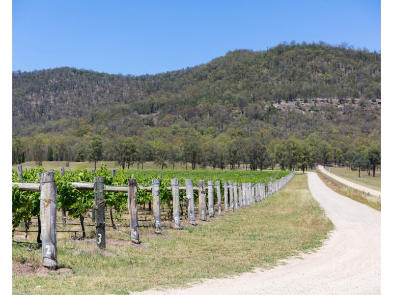 901 Milbrodale Road, Broke NSW 2330