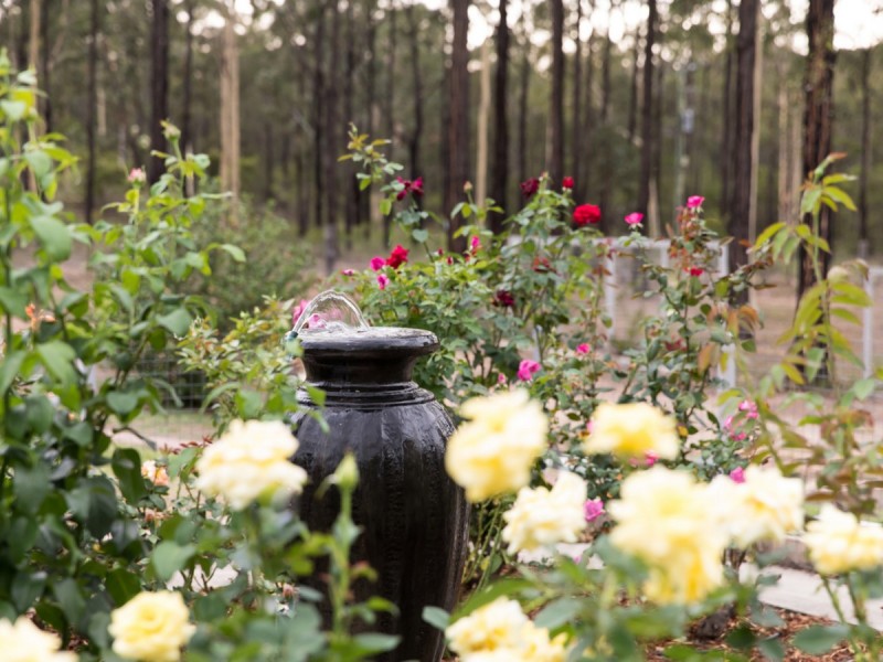 96 Ironbark Lane, Nulkaba NSW 2325