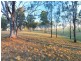 40 Mistletoe Lane, Pokolbin NSW 2320