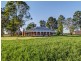 85 Pitnacree Road, Pitnacree NSW 2323