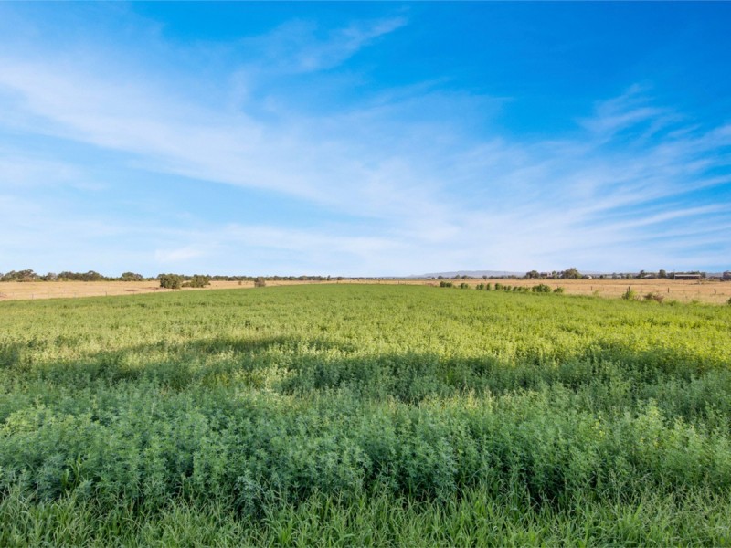 64 Dangar Road, Singleton NSW 2330