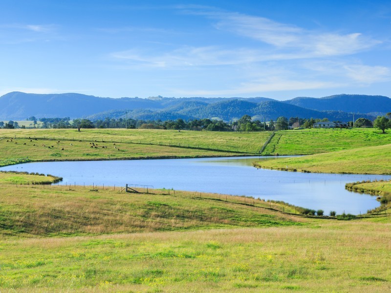 485 Luskintyre Road, Luskintyre NSW 2321