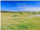 485 Luskintyre Road, Luskintyre NSW 2321