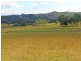 100 Westbrook Road, Westbrook NSW 2330