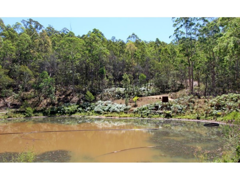 Portions 71 & 72 Cedar Creek Road, Cedar Creek NSW 2325