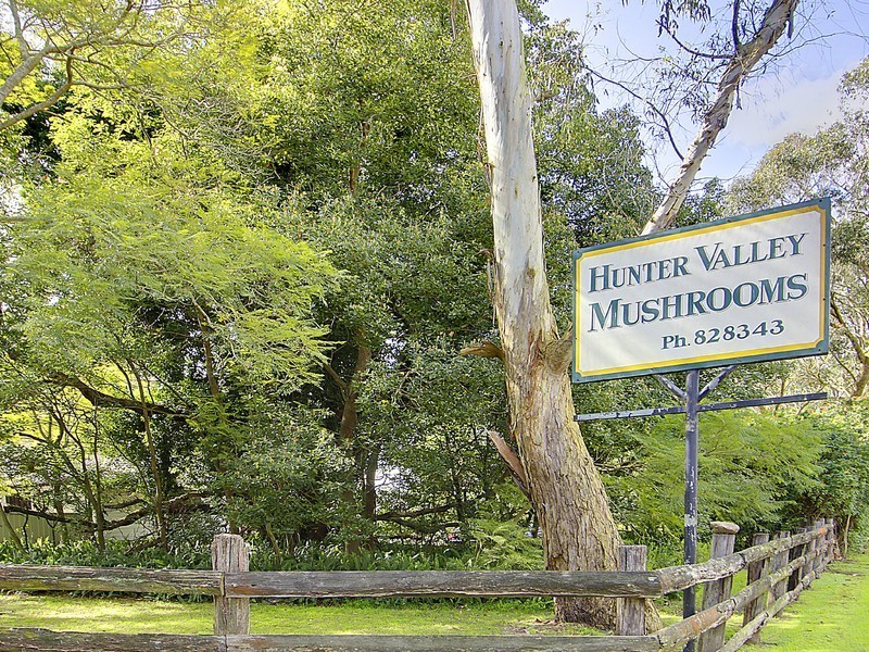 933 Richardson Road, Campvale NSW 2318