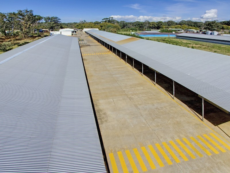 933 Richardson Road, Campvale NSW 2318