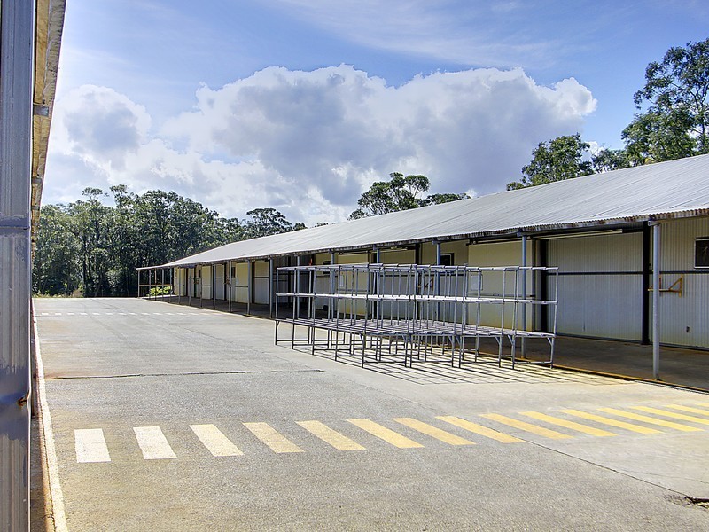 933 Richardson Road, Campvale NSW 2318