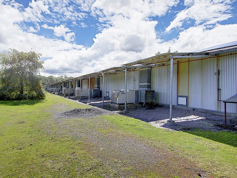 933 Richardson Road, Campvale NSW 2318