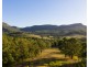 Mount Vincent NSW 2323