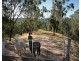 Mount Vincent NSW 2323