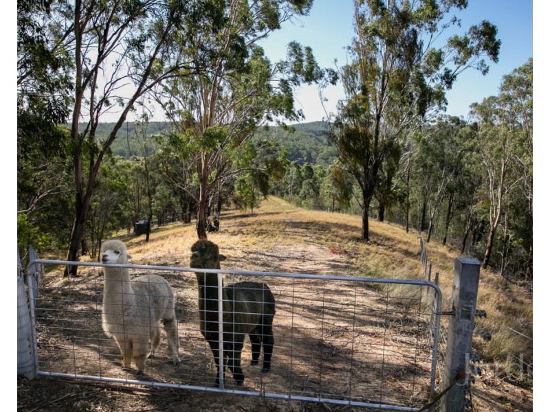 Mount Vincent NSW 2323