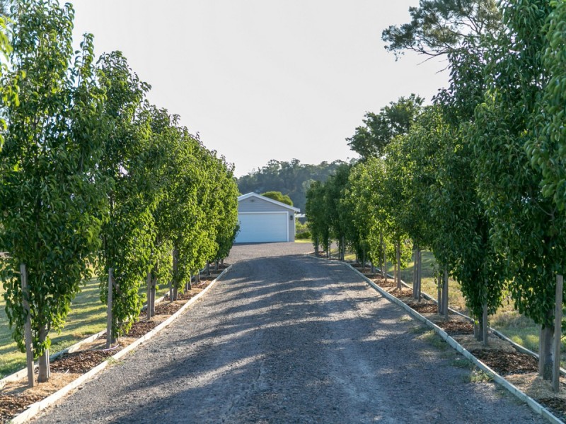 51 Lomandra Circuit, Paterson NSW 2421