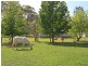 71 Howells Road, Elrington NSW 2325
