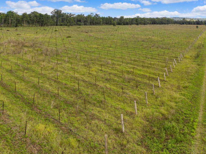 482 Wilderness Road, Lovedale NSW 2325