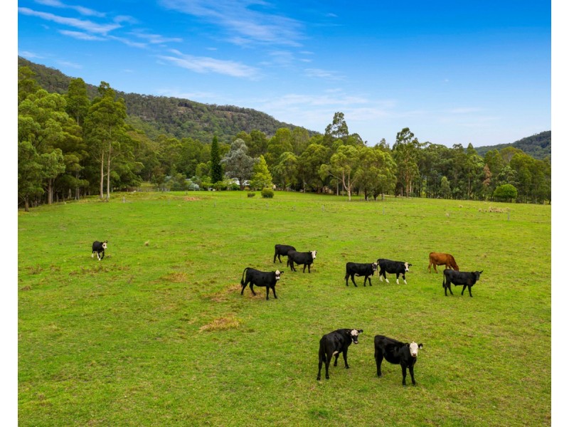 325 Whitings Lane, Quorrobolong NSW 2325