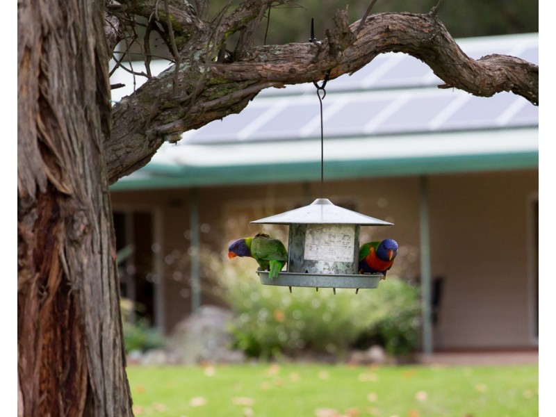 325 Whitings Lane, Quorrobolong NSW 2325