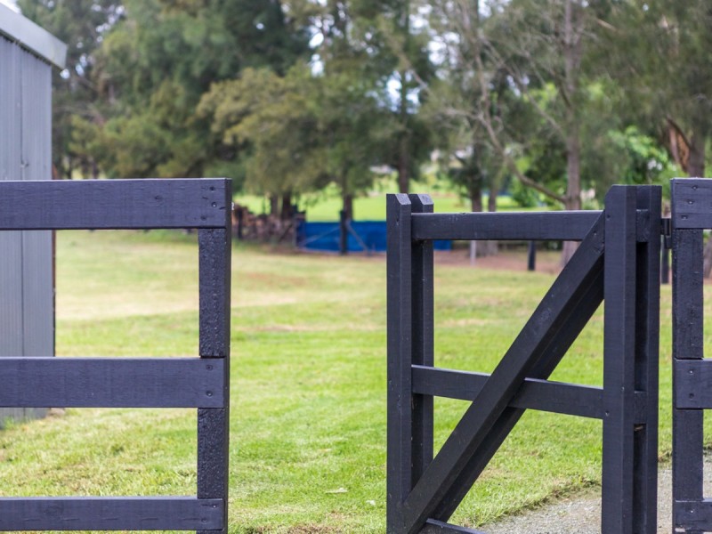 17 Government Circuit, Kearsley NSW 2325