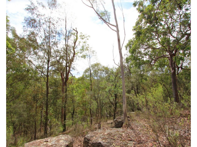 Cedar Creek NSW 2325