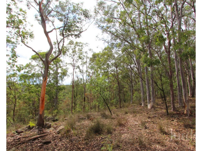 Cedar Creek NSW 2325