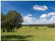 Proposed Lot 1 Hayes Road, Millfield NSW 2325