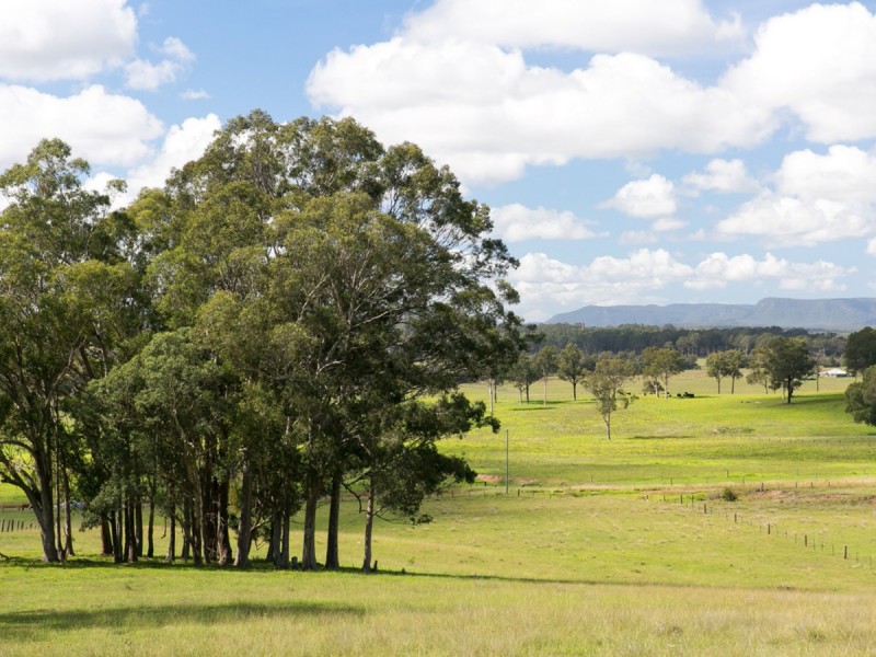 Proposed Lot 1 Hayes Road, Millfield NSW 2325