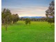 161 Coney Creek Lane, Quorrobolong NSW 2325